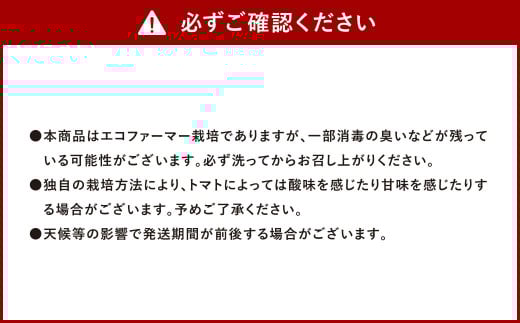 ソムリエ ミニトマト ダイヤ 3kg とまと トマト 野菜 やさい 熊本県産 国産 【2025年12月上旬発送開始】