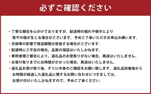 熊本県産 小玉スイカ 2玉 【2026年5月上旬発送開始】 果物 フルーツ スイカ 小玉 旬 旬のフルーツ