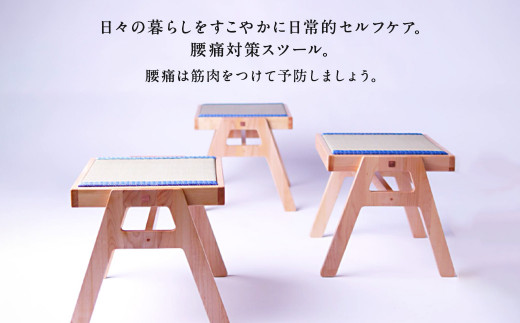 畳の健康椅子「RIKISHI CHAIR」(バーチ)