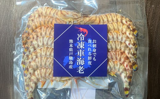 特殊冷凍 車海老 約750g（27～33尾） 3パック エビ 海老 えび クルマエビ 車エビ 養殖 瞬間冷凍