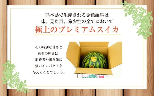 金色羅皇 2玉入り 3L以上 約16kg 【2026年5月上旬～2026年6月下旬発送予定】スイカ 甘いフルーツ 名産果物 果物 熊本県