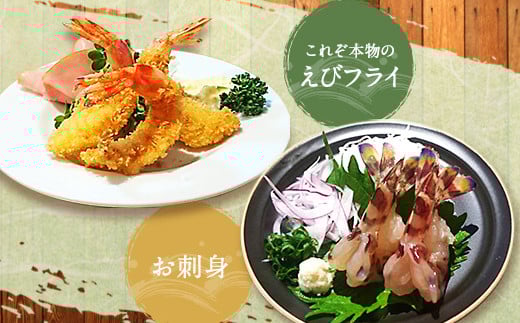 匠のくるまえび 活き締め くるまえび 約250g （約9尾～10尾）×4箱 合計約1kg 車海老 クルマエビ 車えび 車エビ 海老 エビ えび 魚介 魚貝類 熊本県産 国産 冷凍