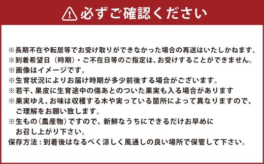 【年3回定期便】アールスメロン 2玉入り（化粧箱入り）×3回 【2026年4月上旬発送開始】 メロン 果物 くだもの フルーツ 果実 果汁 デザート 定期便 年3回 熊本県 熊本県産