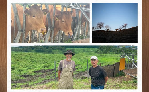 ～食べることは生きること～ 草原の魅力を学び、味わいながらシェフと草原の話をし、阿蘇の未来を考える特別な食事と体験（特別なご案内1組＋特別ディナー1名分） チケット 体験 サステナブル ディナー