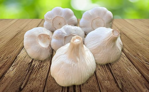 熊本県産 生にんにく 2kg 【2025年11月下旬発送開始】 にんにく ニンニク 生ニンニク 野菜 やさい 熊本県 常温