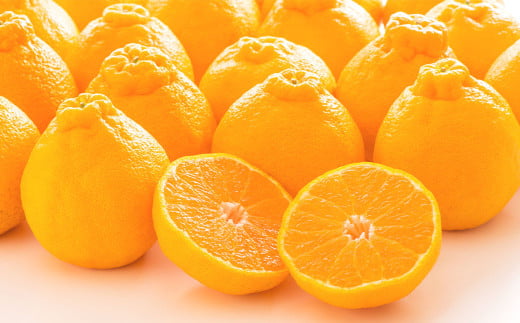 熊本県産 不知火おでこ 約5kg 蜜柑 みかん 柑橘 フルーツ 果物 くだもの 【2026年2月上旬発送開始】