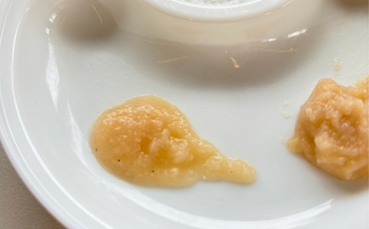 おこめの離乳食 10袋セット おこめ 米 コメ お米 お砂糖不使用 無添加 国産 熊本県産 離乳食 無添加フード グルテンフリー ポン菓子