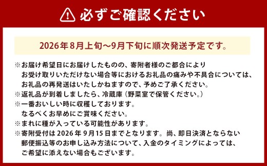 MOCCOS （ぶどう多品種20粒入り） 【2026年8月上旬上旬発送開始】 ぶどう フルーツ 果実 粒 食べ比べ デザート 贈り物 冷蔵 熊本県