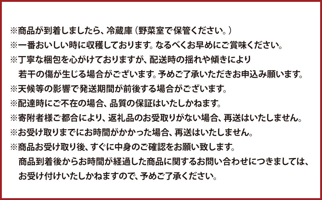 【2024年8月上旬発送開始】糖度18度以上を厳選してお届け！ 熊本県産 シャインマスカット 2房 約1.7kg以上 マスカット フルーツ 果物 くだもの