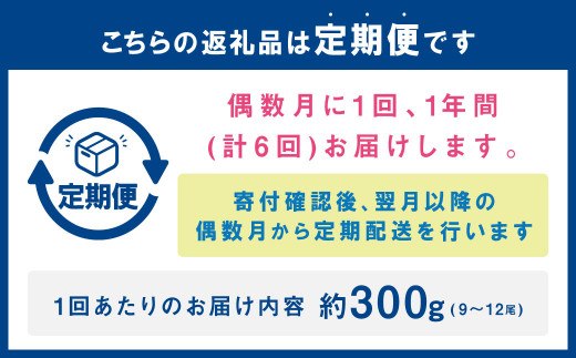 【年6回定期便】熊本県産匠の車えび（活き締め急速冷凍）約300g（9尾～12尾）×6回 合計約1800g