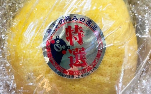 くまモン 木箱入り 河内晩柑 6玉 柑橘 果物 くだもの フルーツ 蜜柑 みかん ばんかん 【2026年4月上旬発送開始】