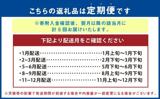 【年5回定期便】 熊本県産品 くまもとモン 定期便 （フルーツ編） 寄附額 10万円 コース ／ いちご （ゆうべに） 約250g × 4パック （合計：1000g） ／ くまモン 木箱入り 不知火 約2.8kg （約6玉前後） ／ 黒小玉 BonBonリッチ 2玉 ／ シャインマスカット 約1.7kg以上 （2～4房） ／ みかん 約3kg ／ 果物 季節のフルーツ 旬 熊本県 冷蔵 常温