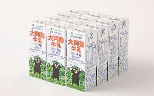 【3か月連続定期便】 大阿蘇牛乳 200ml 12本×3回 計36本 牛乳 ぎゅうにゅう 成分無調整牛乳 ミルク 紙パック 定期便 長期保存 熊本県
