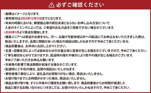 【2026年1月より6か月連続発送】熊本便り！旬の柑橘堪能定期便