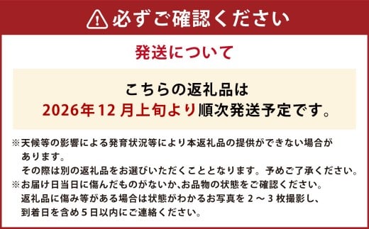 【年3回定期便】 いちご（ゆうべに＆恋みのり各2パック）計4パック×3回 【2026年12月上旬発送開始】 いちご イチゴ 苺 ゆうべに 恋みのり 果物 くだもの フルーツ 果実 果汁 定期便 年3回 熊本県 熊本県産