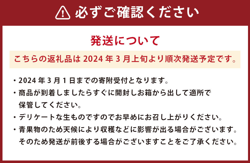 【2024年3月上旬発送開始】 熊本県産 苺 旬の品種 (2種) 約1.5キロ 前後 いちご イチゴ