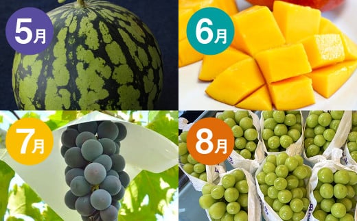 【12か月連続定期便】熊本の旬のフルーツお届け便 （Bコース） フルーツ 果物 くだもの 晩白柚 苺 デコポン みかん 柑橘 蜜柑 メロン すいか シャインマスカット 葡萄 ぶどう マンゴー 太秋柿 柿 定期便