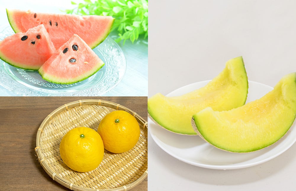 【年12回定期便】熊本県産フルーツ堪能定期便 ｜ 果物 くだもの フルーツ 定期便 旬 デコポン みかん メロン すいか いちご 梨 柿 シャインマスカット 特産品 熊本県