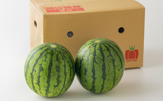 熊本県産 小玉すいか 2玉 合計3kg以上 【2026年6月上旬発送開始】 すいか スイカ 西瓜 くだもの 果物 フルーツ 国産