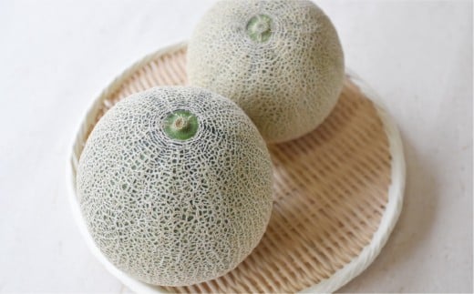 赤玉レノンスター 2玉【2026年5月下旬発送開始】 メロン フルーツ くだもの 果物 熊本県産 国産