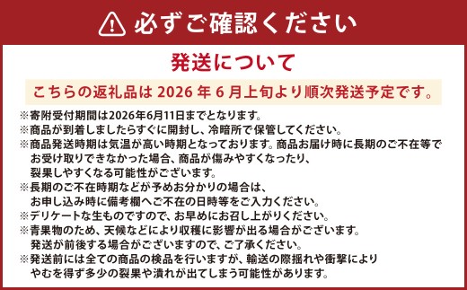 熊本県産 小玉すいか 1玉（1.5kg以上）と 肥後グリーンメロン 1玉（1.6kg以上） 果物 くだもの フルーツ スイカ メロン 【2026年6月上旬発送開始】