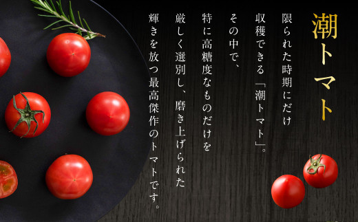 蘇鉄嶋 （ 桃太郎トマト ） 約1kg とまと トマト やさい 野菜 国産 【2026年5月上旬発送開始】