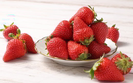 朝摘み当日発送！熊本県産いちご(ゆうべに) 約500g (250g×2パック） 【2026年1月上旬発送開始】