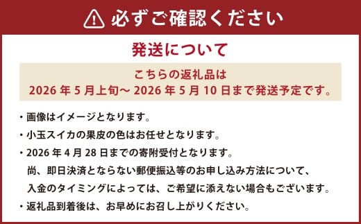 《 母の日 》 小玉スイカ1玉とカーネーション1鉢 【2026年5月上旬発送（母の日）】 先行予約 果物 スイカ 花 カーネーション 贈答 ギフト 贈り物