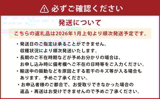 【年3回定期便】朝摘み当日発送！熊本県産いちご（ゆうべに）約1500g（約500g×3回）【2026年1月上旬発送開始】