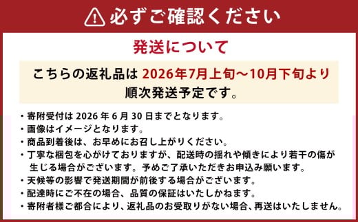 【4か月連続定期便（2026年7月～10月）】ぶどう食べ比べ定期便4ヵ月 約1.8kg×4回 合計 約7.2kg ブドウ 葡萄 果物 くだもの フルーツ