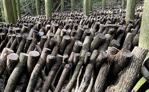 原木乾燥しいたけ 小袋セット 210g（70g×3袋） 乾燥椎茸 椎茸 しいたけ きのこ 野菜 セット 熊本県 常温