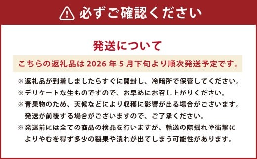 熊本県産 白桃 約1kg （5～7玉） 【2026年5月下旬発送開始】 モモ もも 桃 くだもの 果物 フルーツ 国産
