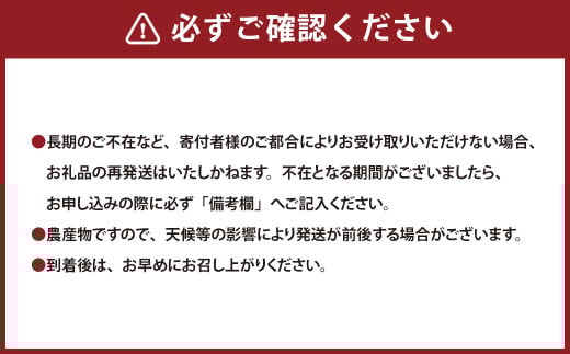 熊本県産 持丸ミカン 約3キロ 【2025年11月下旬発送開始】 蜜柑 みかん ミカン 柑橘 フルーツ くだもの 果物 国産