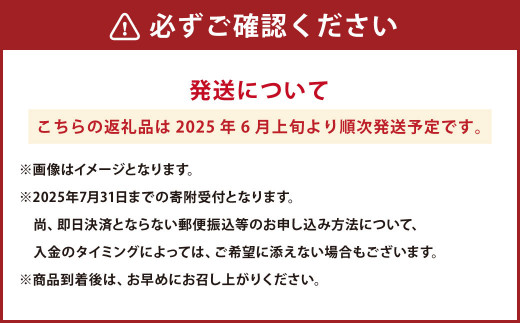 熊本県産 黒小玉スイカ 1玉 と マスクメロン 1玉 合計2玉【2025年6月上旬発送開始】 すいか スイカ 西瓜 フルーツ 果物 くだもの メロン 2種 セット 国産