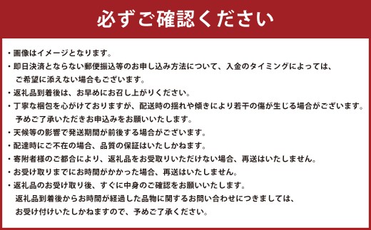 熊本県産 すいか 祭ばやし 7kg以上 スイカ 西瓜 果物 くだもの フルーツ おすすめ ギフト 贈り物 【2026年5月上旬発送開始】