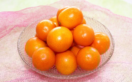 熊本県産 完熟ハウスキンカン約1.5kg