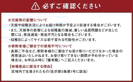 熊本県産晩白柚 2玉入り