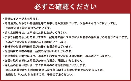 熊本県産 すいか 春のだんらん 6kg以上 スイカ 西瓜 果物 くだもの フルーツ おすすめ ギフト 贈り物 【2026年3月下旬発送開始】