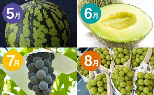 【12か月連続定期便】熊本の旬のフルーツお届け便 （Aコース） フルーツ 果物 くだもの 晩白柚 苺 デコポン みかん 柑橘 蜜柑 メロン すいか メロン シャインマスカット 葡萄 ぶどう 栗 太秋柿 柿 定期便