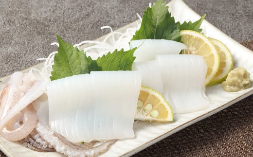 熊本県産冷凍活アオリイカブロック（刺身用） 2枚 合計1杯 天然 イカ いか アオリイカ 刺身 おつまみ 魚介 冷凍 熊本県産