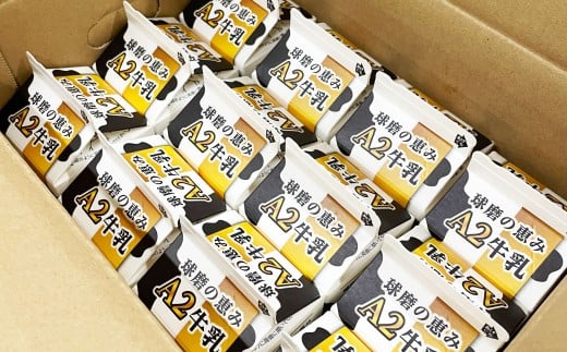 球磨の恵みＡ2牛乳12本セット