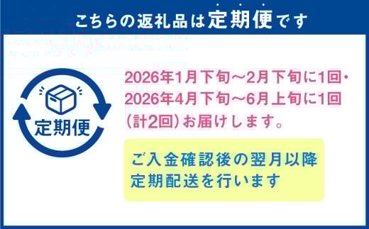 【年2回定期便】『まるで果物の王様！贅沢メロン』 2玉セット×2回 合計4玉 2色楽しめる特別な定期便 【2026年1月下旬発送開始】熊本県産 フルーツ くだもの 果物 メロン 果実 果肉 おやつ 国産