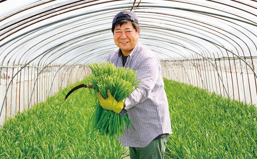 フタワのにら餃子 20g×50個×3袋 合計150個 （3kg） 餃子 ぎょうざ ギョウザ にら餃子 にら ニラ 中華 中華惣菜 惣菜 お惣菜 点心 おかず