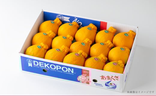 熊本県産 ハウス デコポン 約5kg 蜜柑 みかん 柑橘 果物 くだもの フルーツ 【2025年12月上旬発送開始】