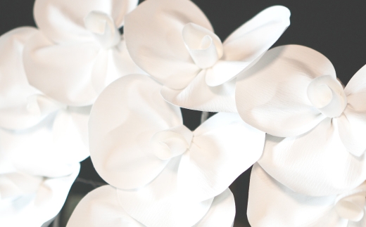 アートフラワー胡蝶蘭 胡蝶蘭 コチョウラン 蘭 アートフラワー 手作り 開店祝い 就任祝い 周年祝い スーパーフラワー 花