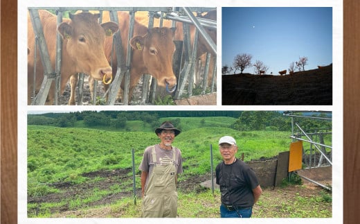 ～食べることは生きること～ 草原の魅力を学び、味わいながらシェフと草原の話をし、阿蘇の未来を考える特別な食事と体験（特別なご案内1組） チケット 体験 サステナブル