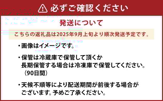 熊本県産 和栗 3kg 【2025年9月上旬発送開始】クリ くり 栗 フルーツ くだもの 果物 国産