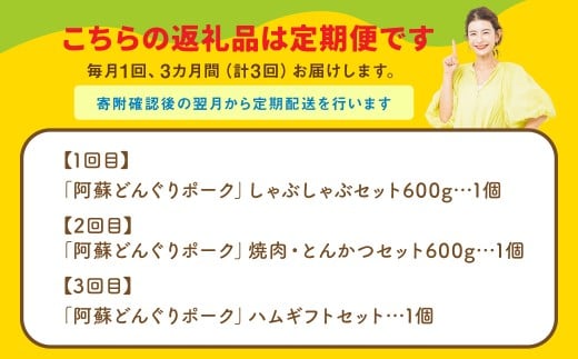 【年3回連続定期便】 スザンヌが選ぶ熊本ギフト どんぐりポーク 定期便3ヶ月 ／ 3回定期便 豚肉 ウィンナー 粗挽きウィンナー チーズ チョリソー ベーコン ボンレスハム お肉 肉 スザンヌ 定期便 九州 熊本県 冷凍