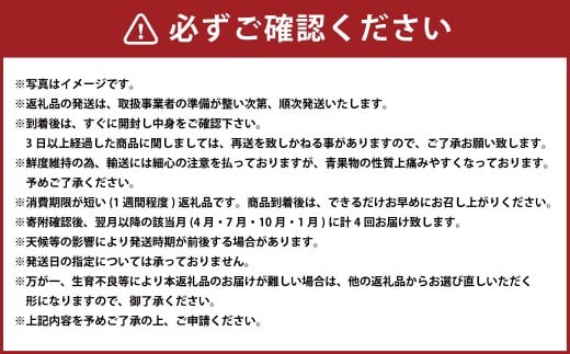 【 年 4回 定期便 】 熊本県 人気 フルーツ 4回 定期便 4月 ・ 7月 ・ 10月 ・ 1月 果物 くだもの 旬 大玉 スイカ すいか 西瓜 メロン めろん アールス メロン 梨 ナシ 新高 でこぽん デコポン 柑橘
