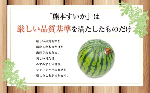 大玉すいか 1玉入り 3L以上 約8kg 【2026年5月上旬～2026年6月下旬発送予定】スイカ 甘いフルーツ 名産果物 果物 熊本県
